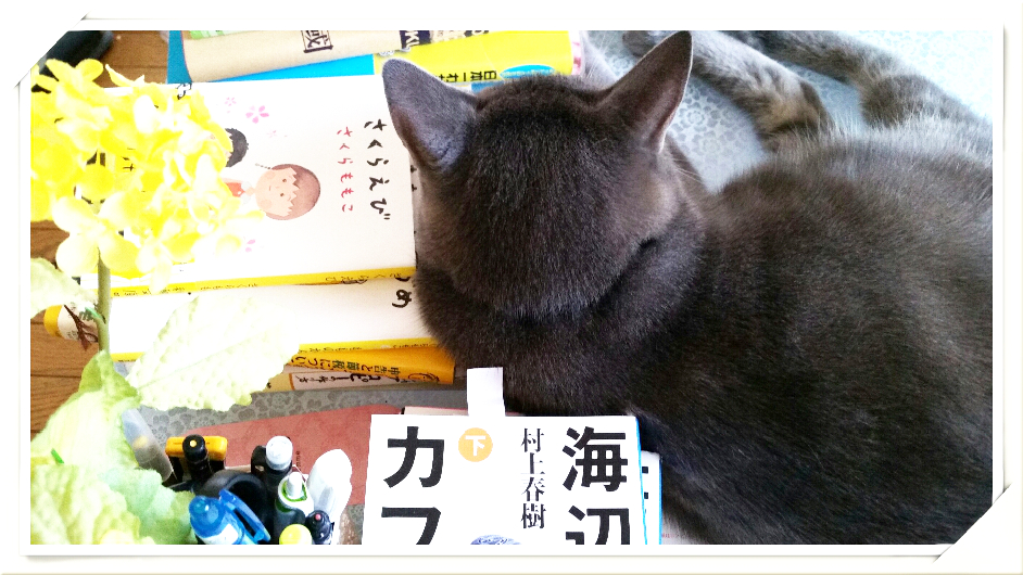 夏目漱石『吾輩は猫である』の猫は最後に